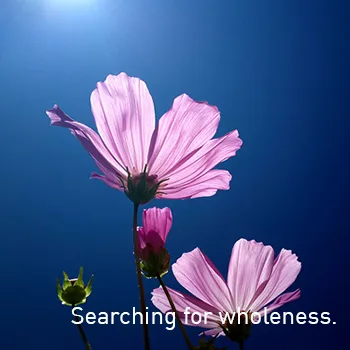 elkewarmoes