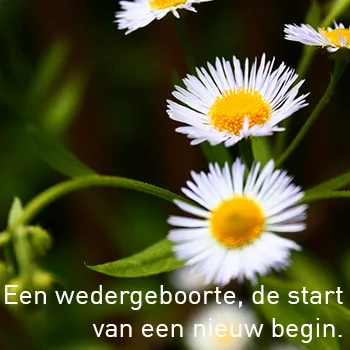 marietvandersanden